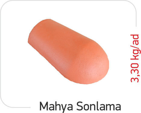 Bader Mahya Sonlama