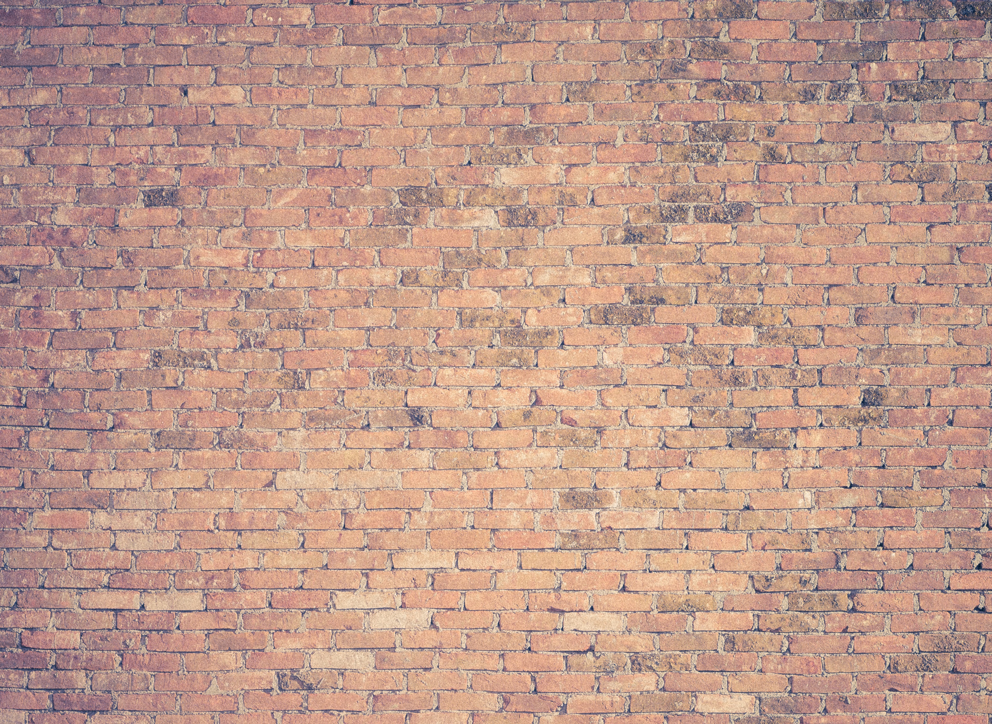 wall